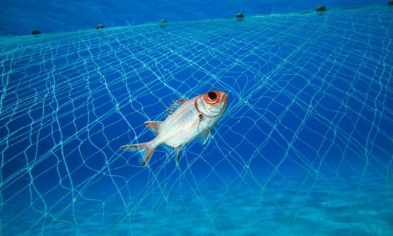 A Leading fishing Nets Manufacturer & Supplier